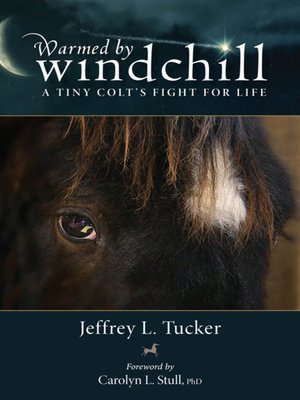 cover image of Warmed by Windchill